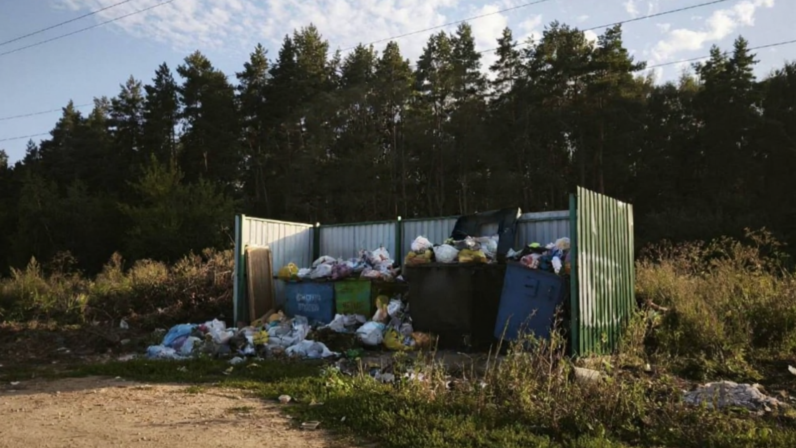 фото соцсети