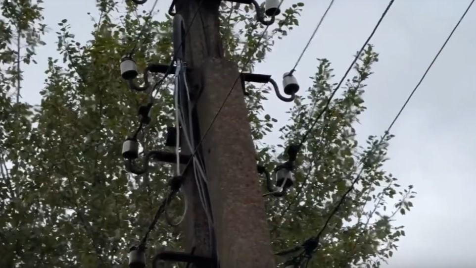 фото отделения «Народного фронта Орловской области»