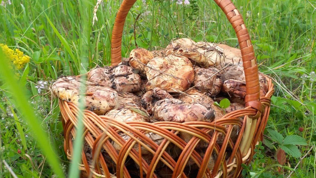 фото «ОВ»