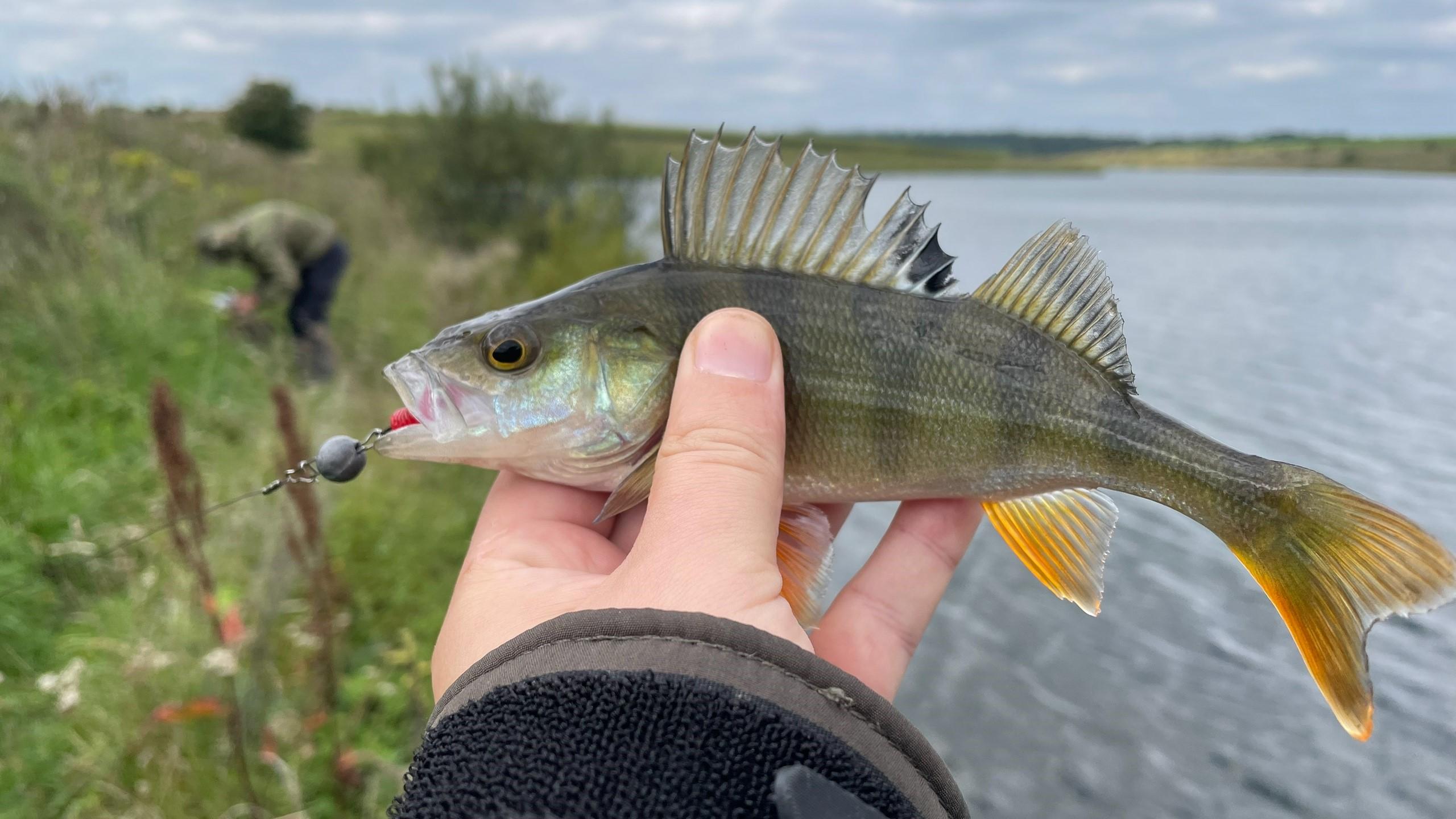 фото сообщества «Рыбалка в Орле | OREL FISHING»