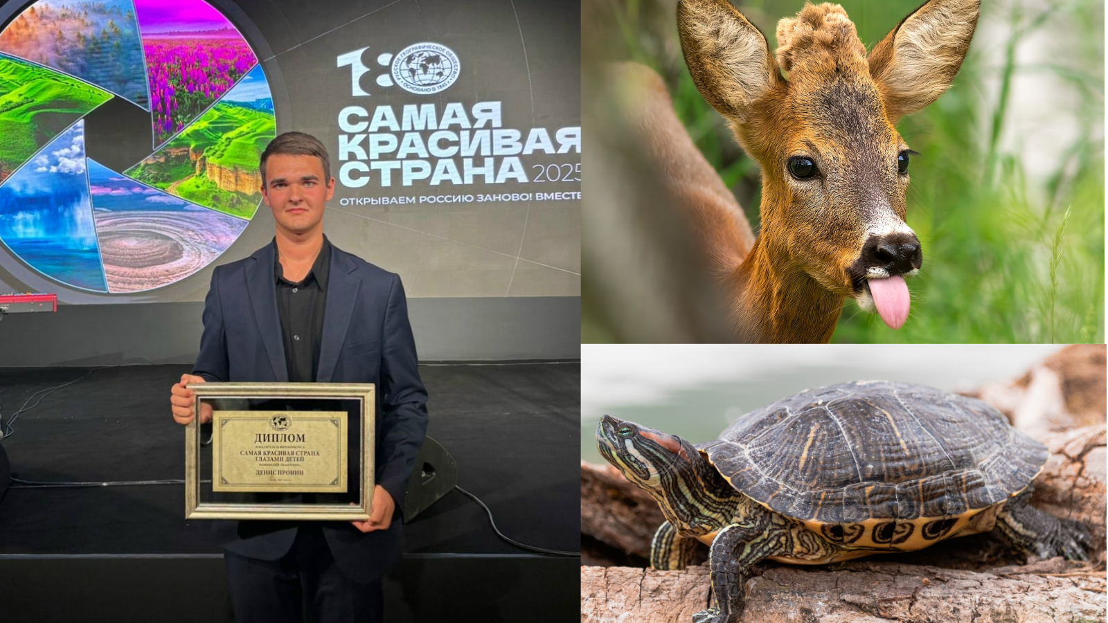 фото Дениса Пронина