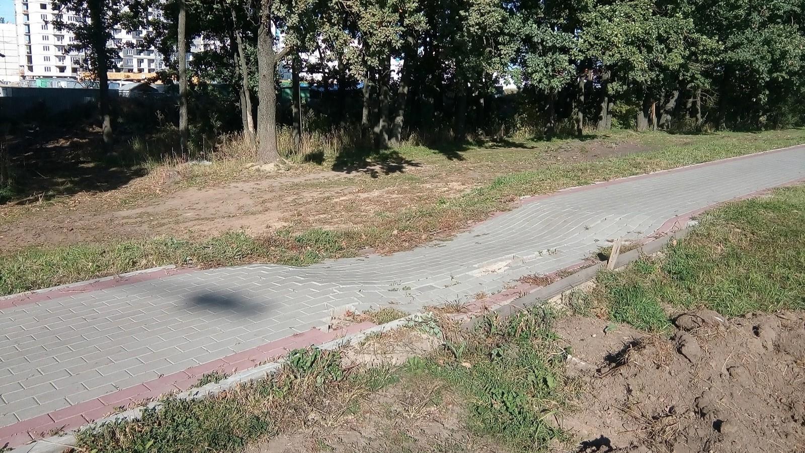 фото из соцсетей