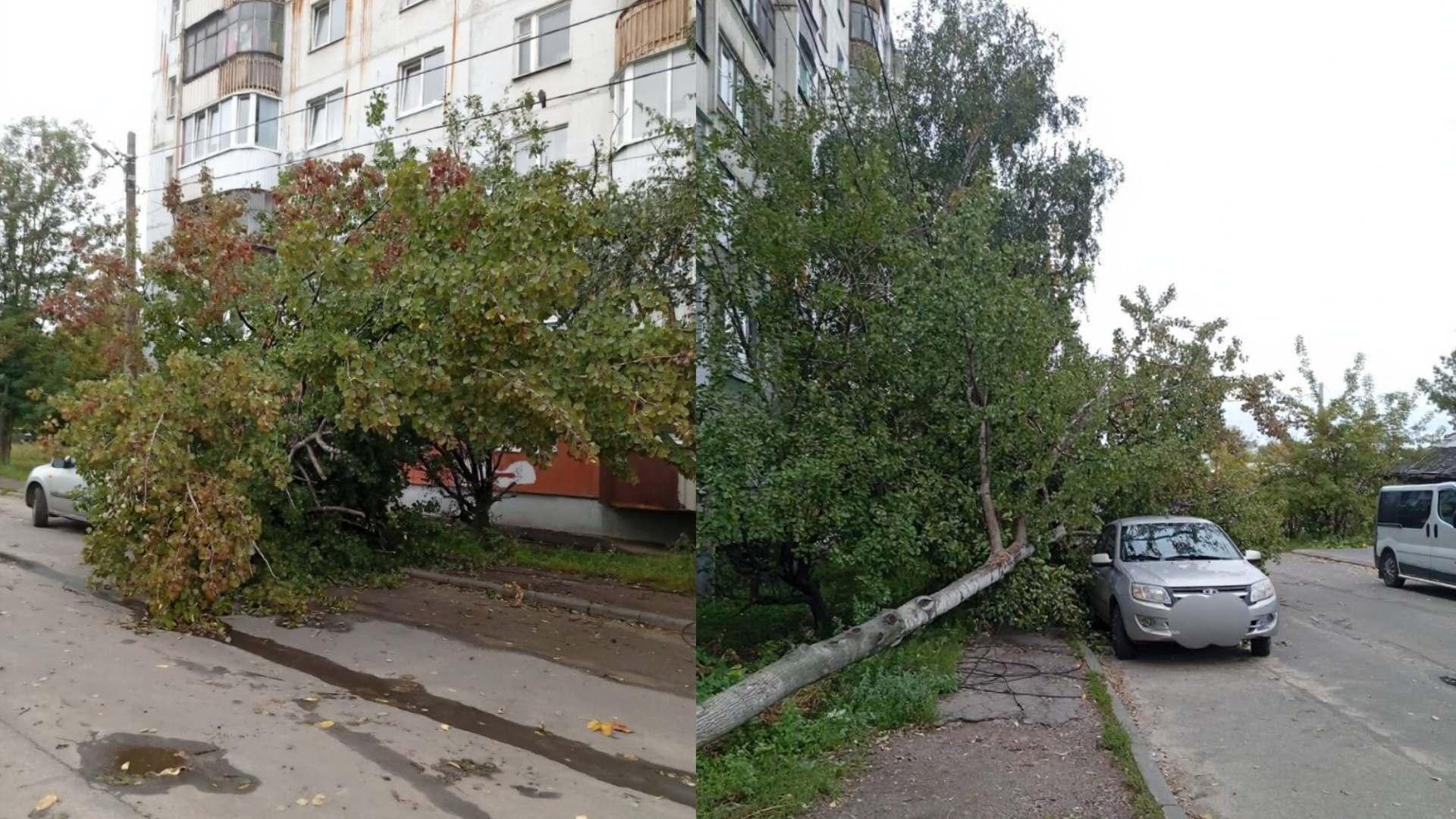фото ТГ Орел Вкурсе