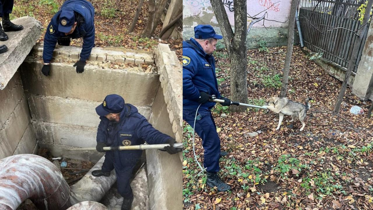 фото пресс-службы ГУ МЧС России по Орловской области