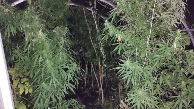 фото пресс-службы УМВД России по Орловской области