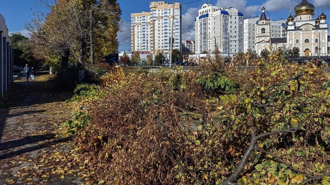 фото телеграм-канала Объявления СТОК+ г. Орел