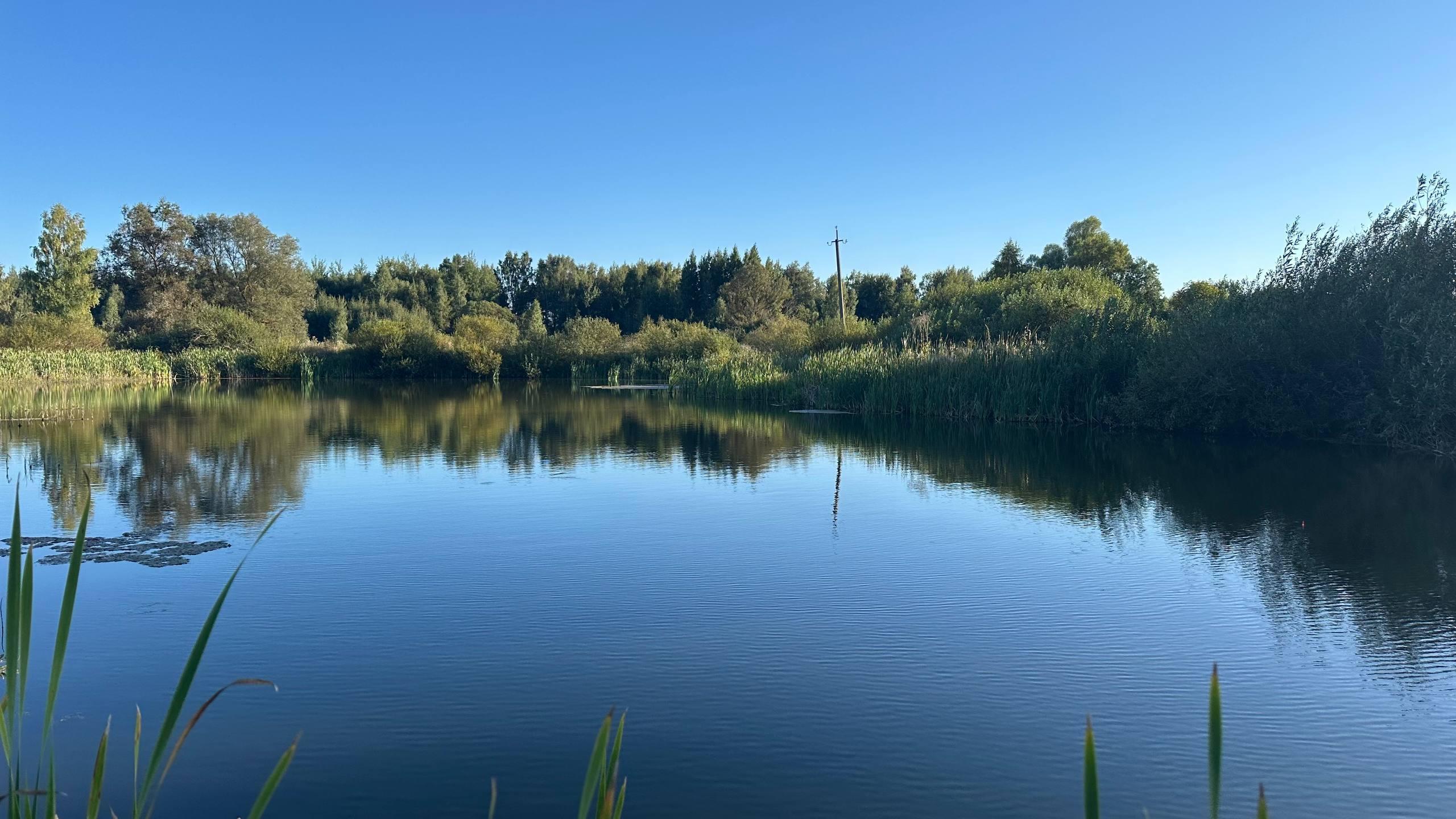 фото «ОВ»