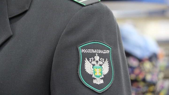 фото пресс-службы Управление Россельхознадзора по Орловской и Курской областям