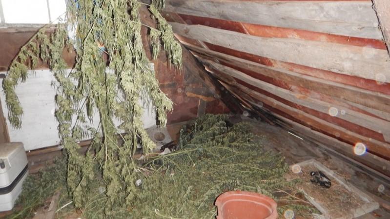 фото пресс-службы УМВД России по Орловской области