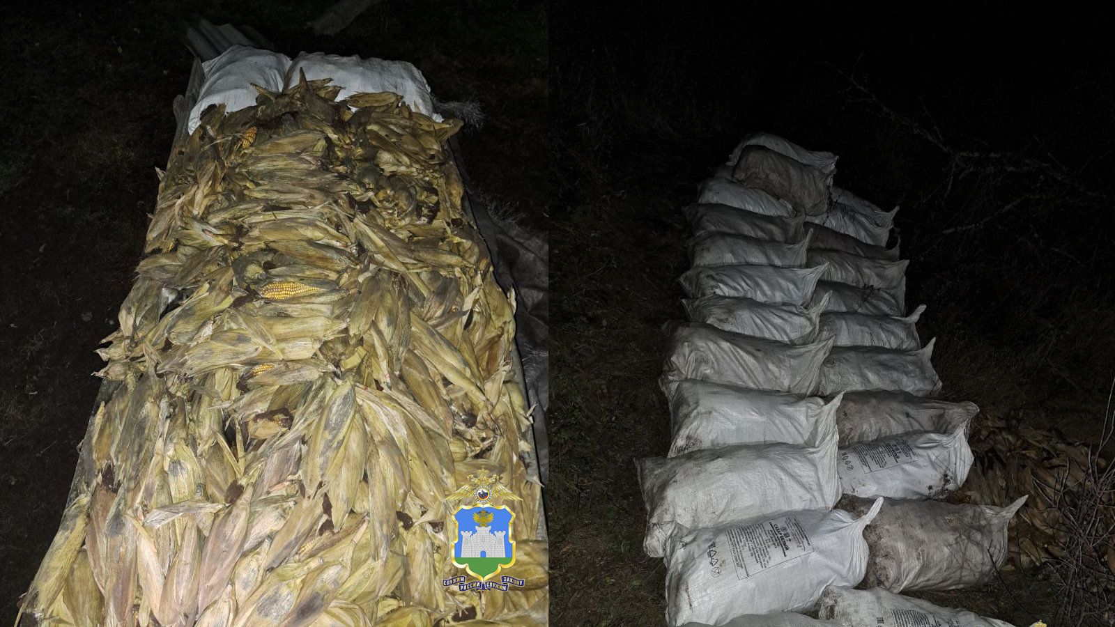 фото пресс-службы УМВД России по Орловской области