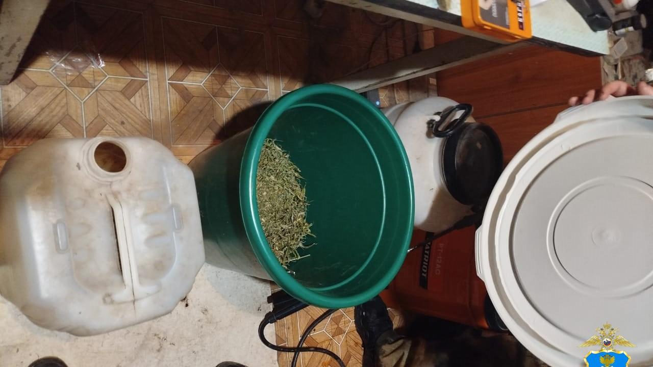 фото пресс-службы УМВД России по Орловской области