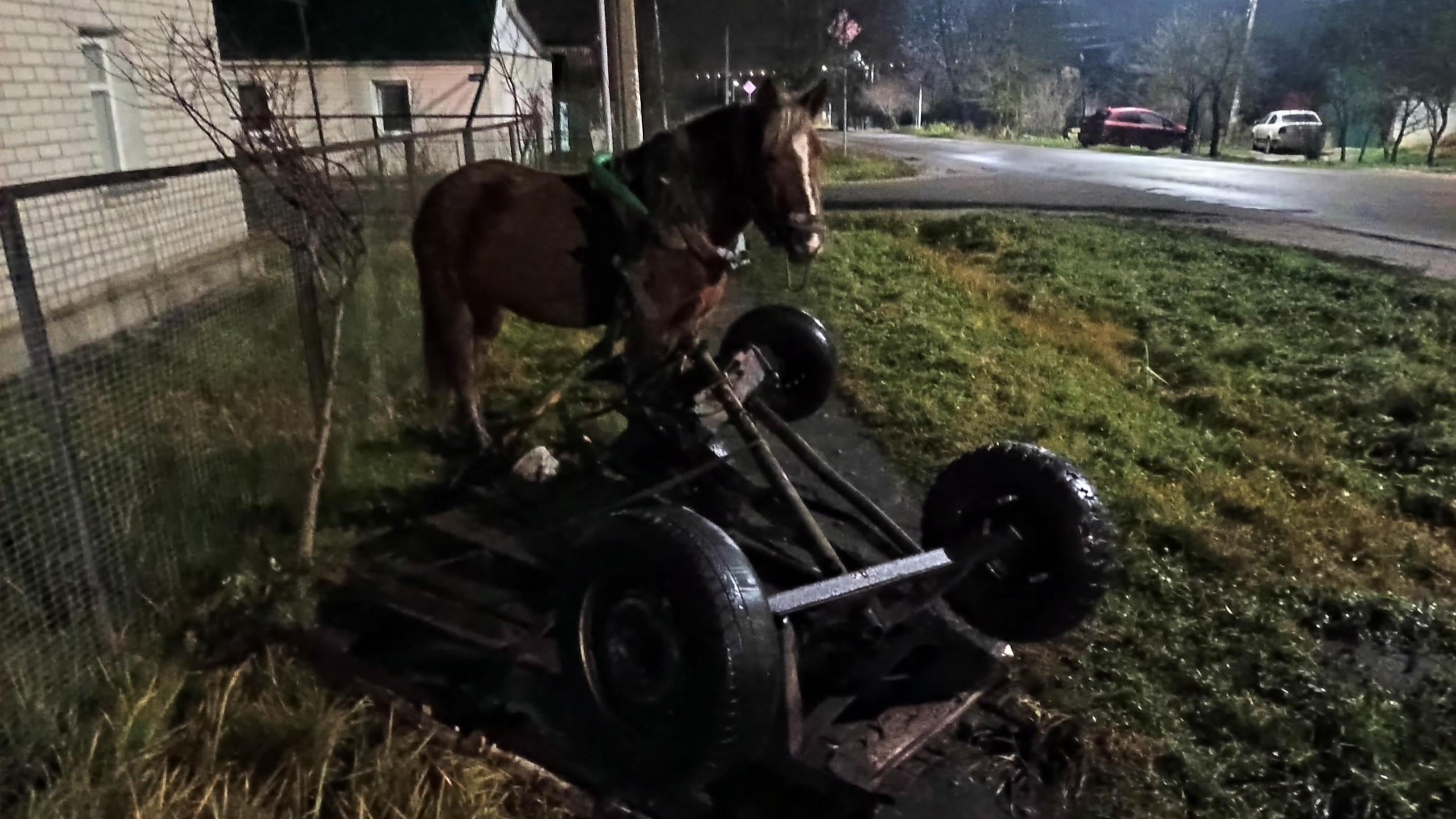 фото Управления Госавтоинспекции Орловской области