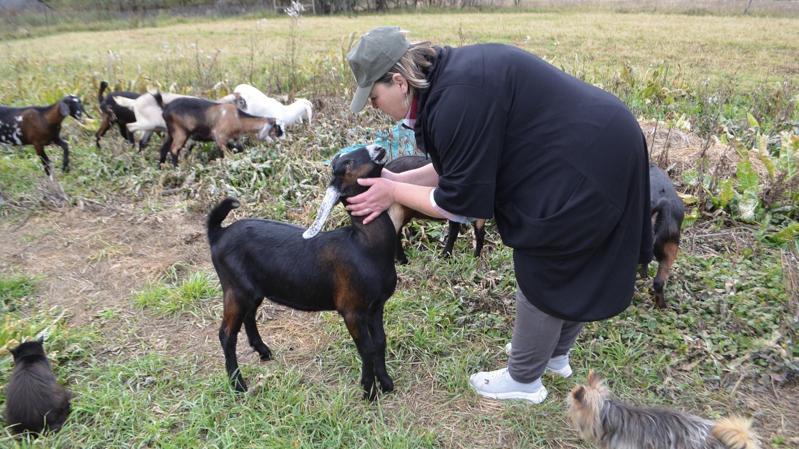 фото со страницы департамента сельского хозяйства Орловской области