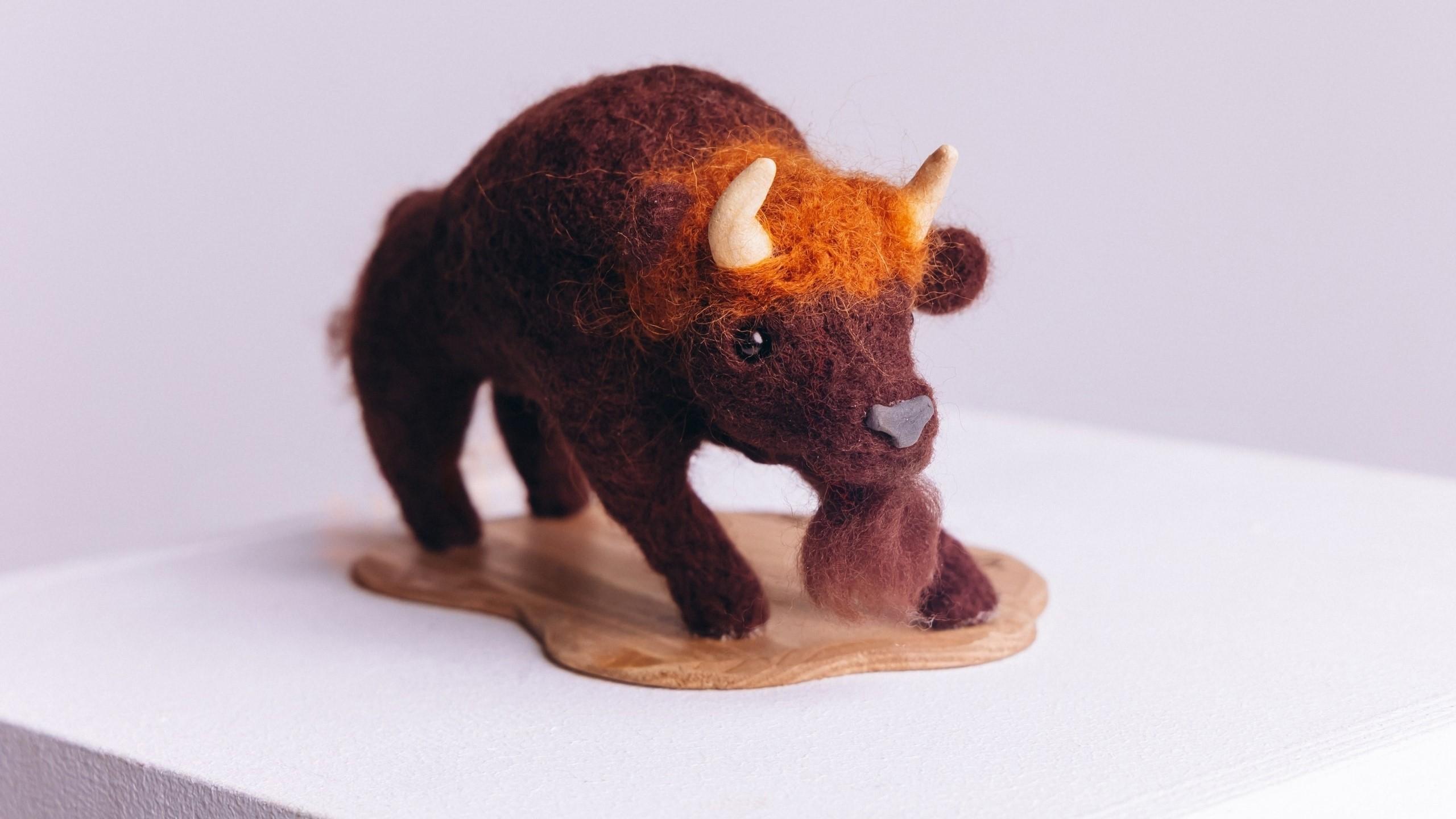 фото со страницы Веры Чергиной