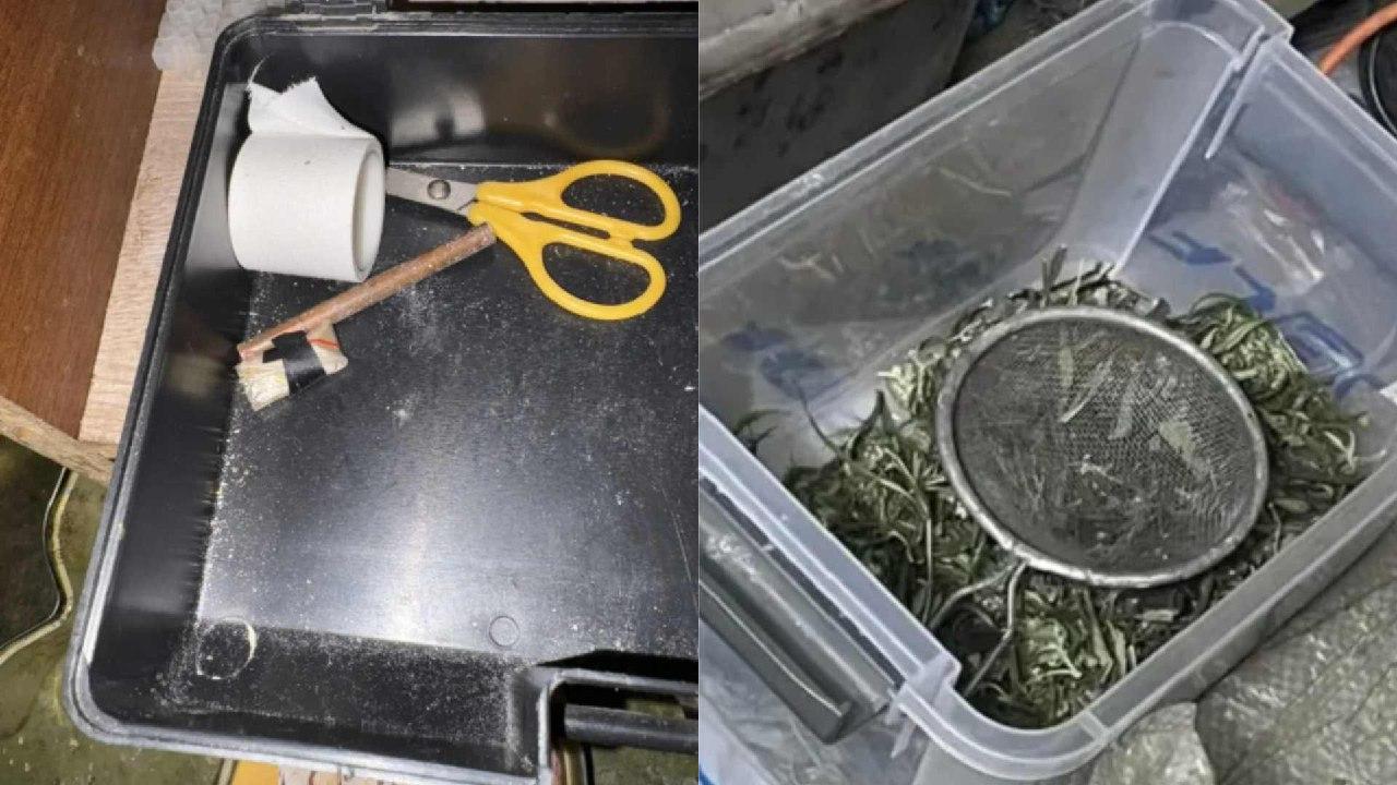 фото пресс-службы УМВД России по Орловской области