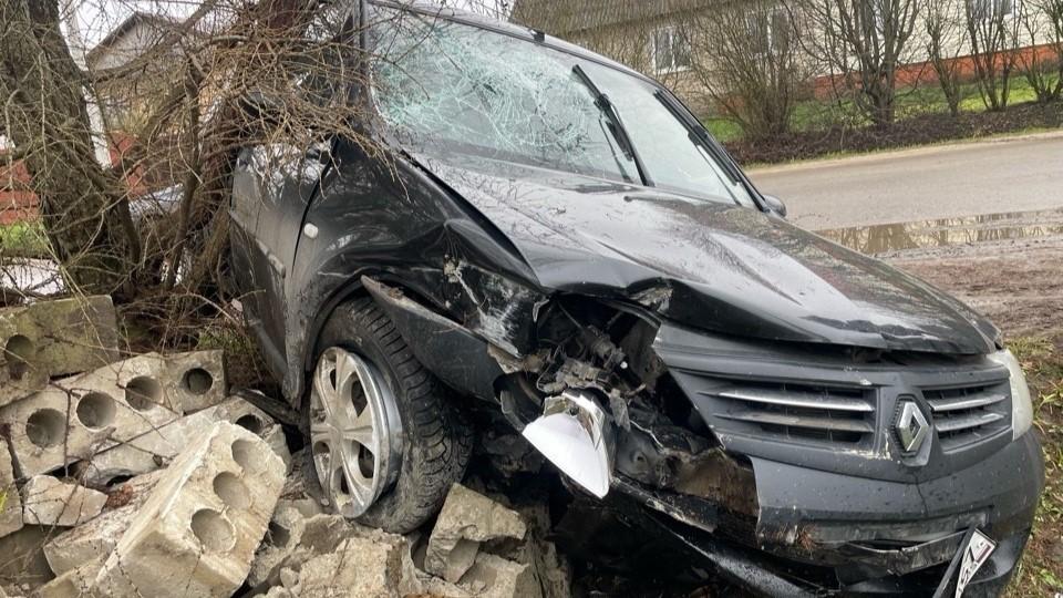 фото пресс-службы Управления Госавтоинспекции Орловской области