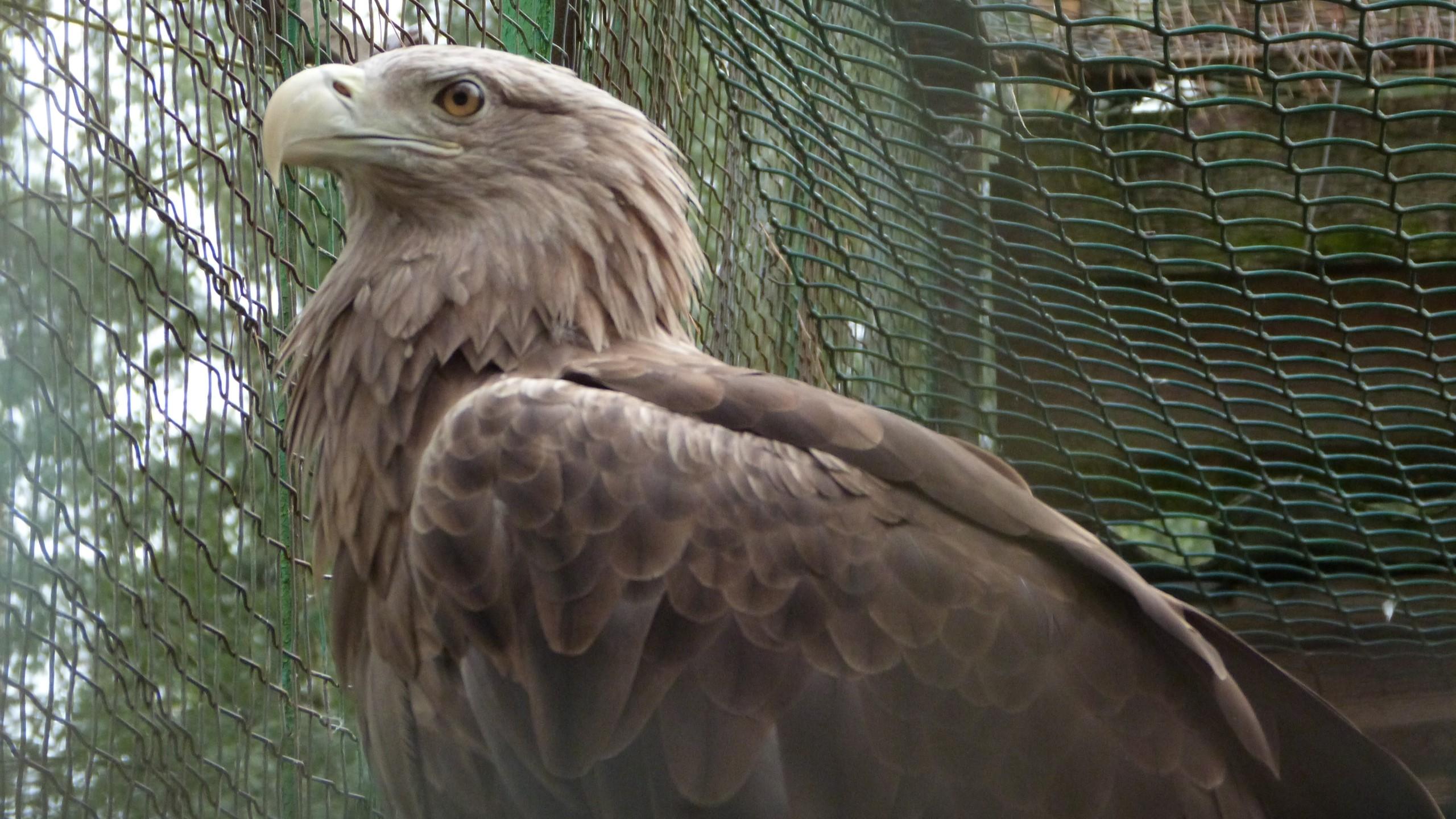 фото со страницы ВК Зоовольерного комплекса