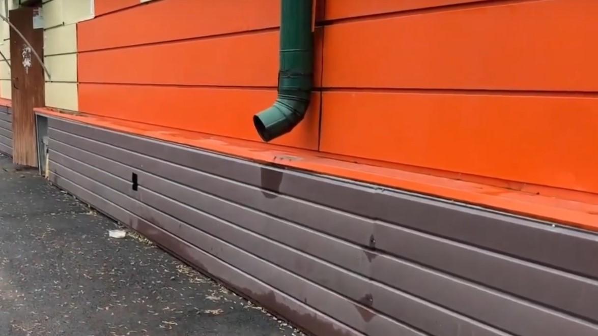 скриншот видео «Народного фронта»