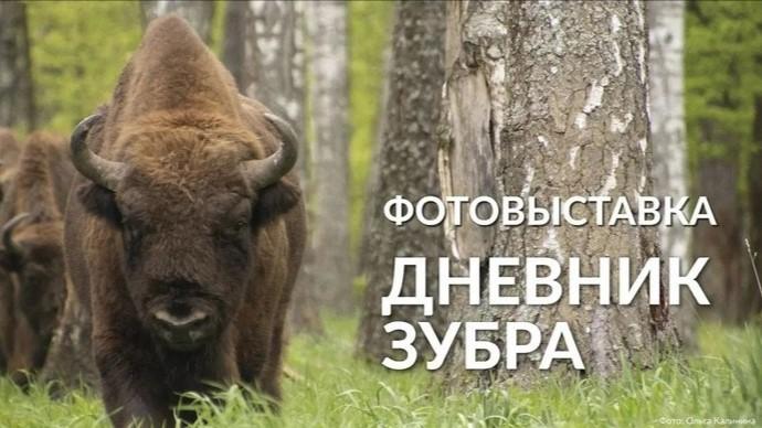 фото «Орловского полесья»/Ольга Калинина