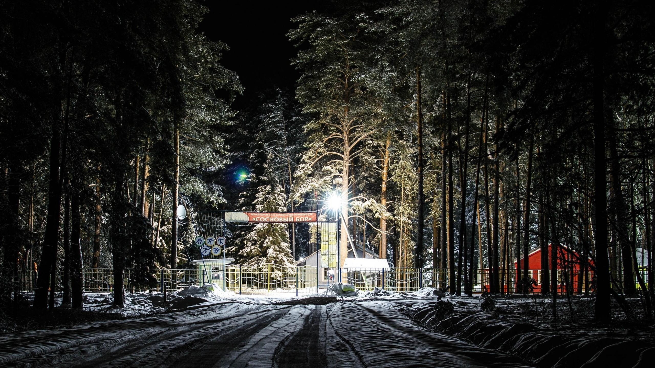 фото со страницы «Лагерь «Сосновый бор»