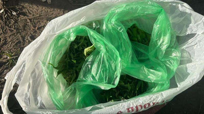 фото пресс-службы УМВД России по Орловской области