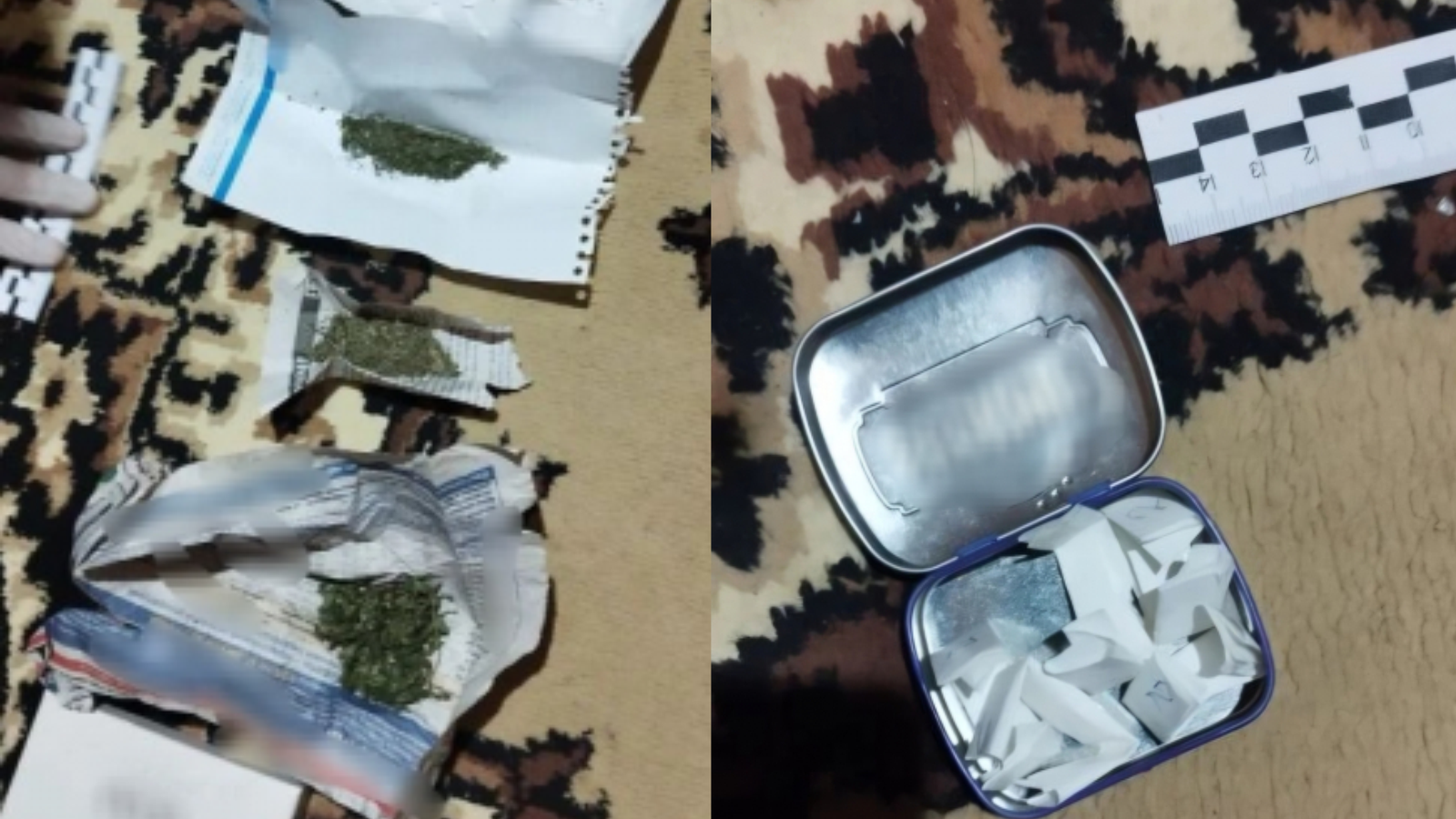 фото пресс-службы УМВД России по Орловской области