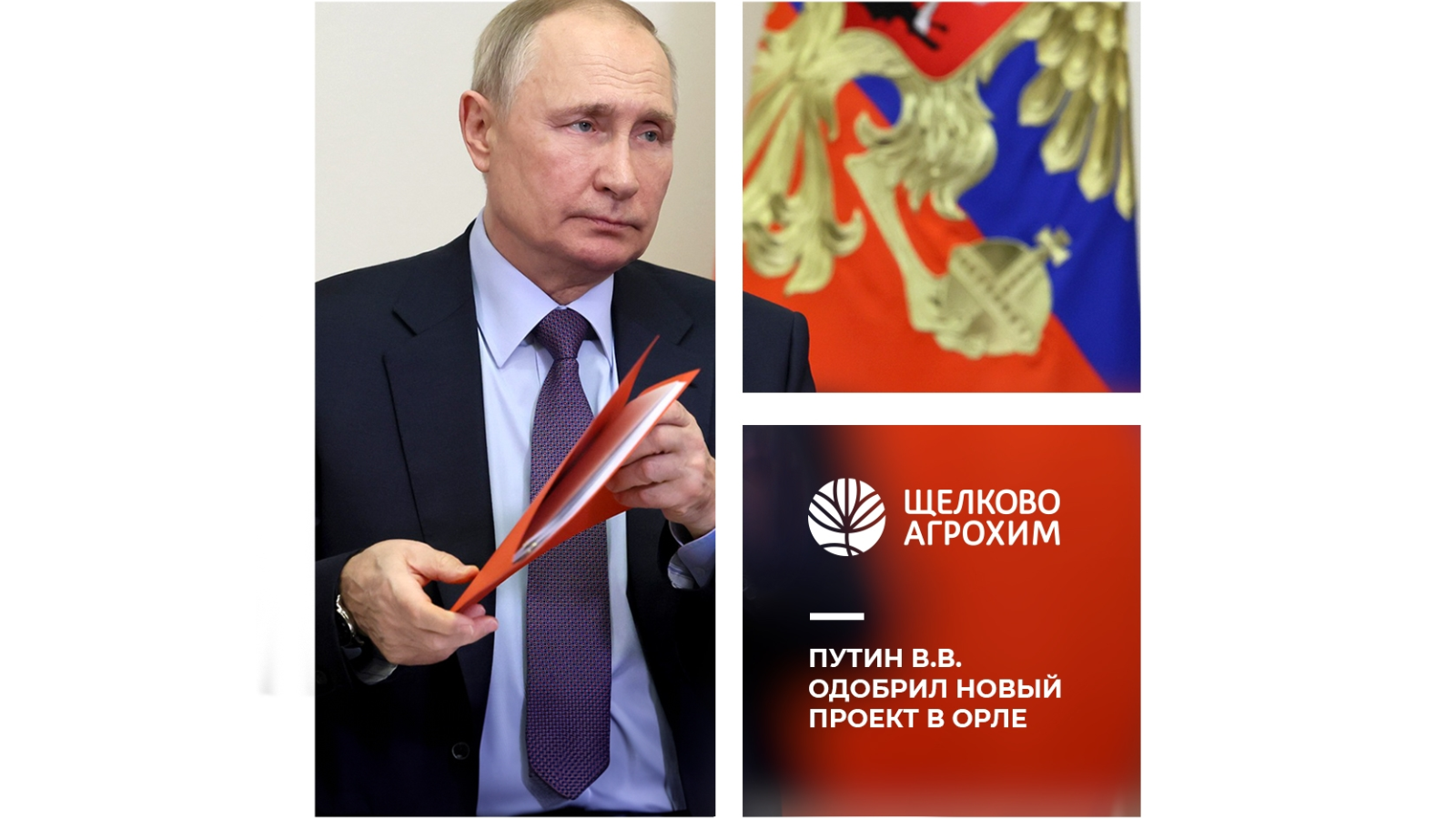 коллаж «Щёлково Агрохим»