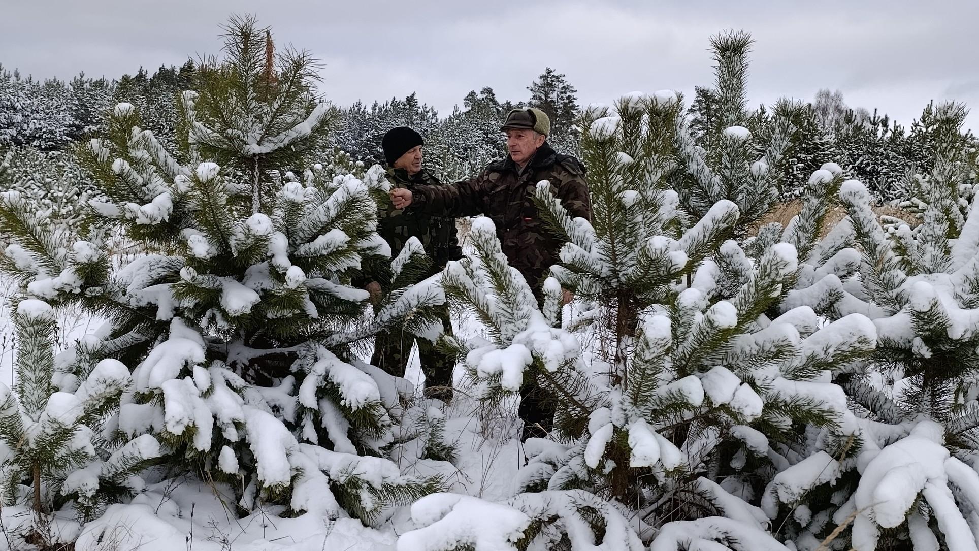 фото Управления лесами Орловской области