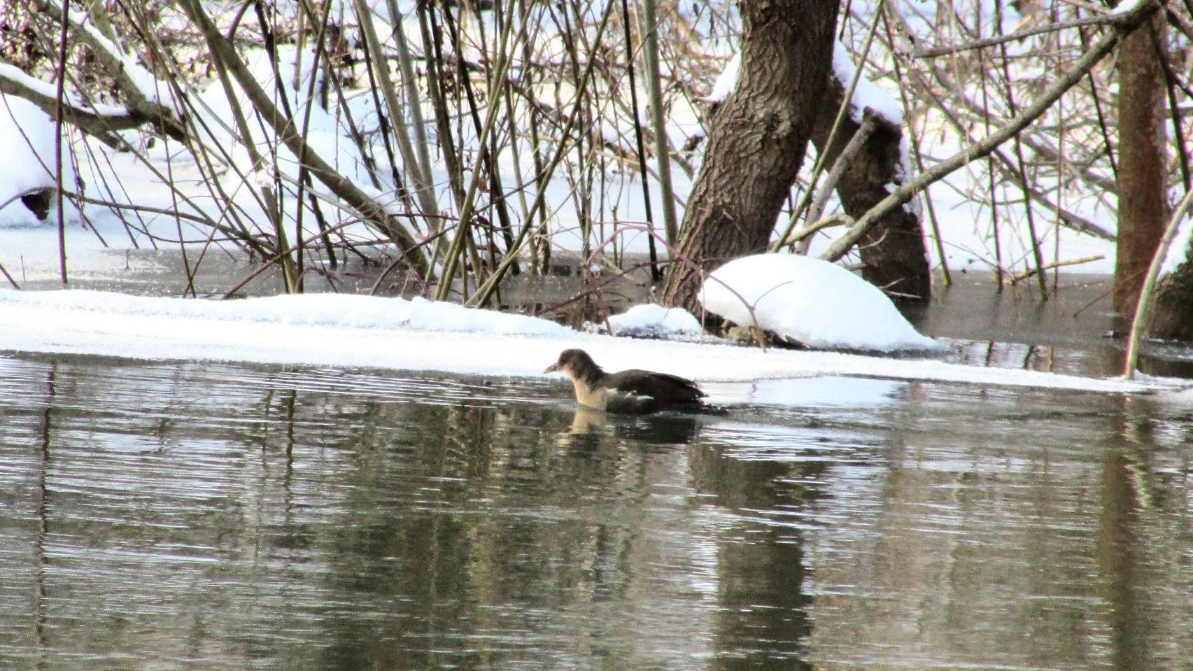 фото Олега Голенкова