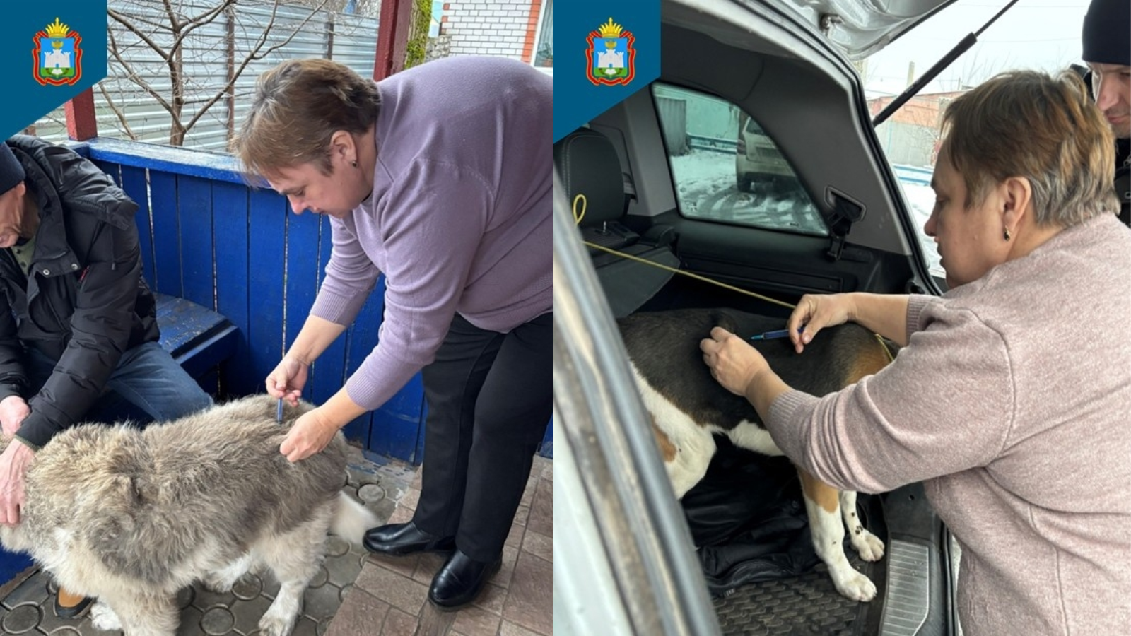 фото Управления ветеринарии Орловской области