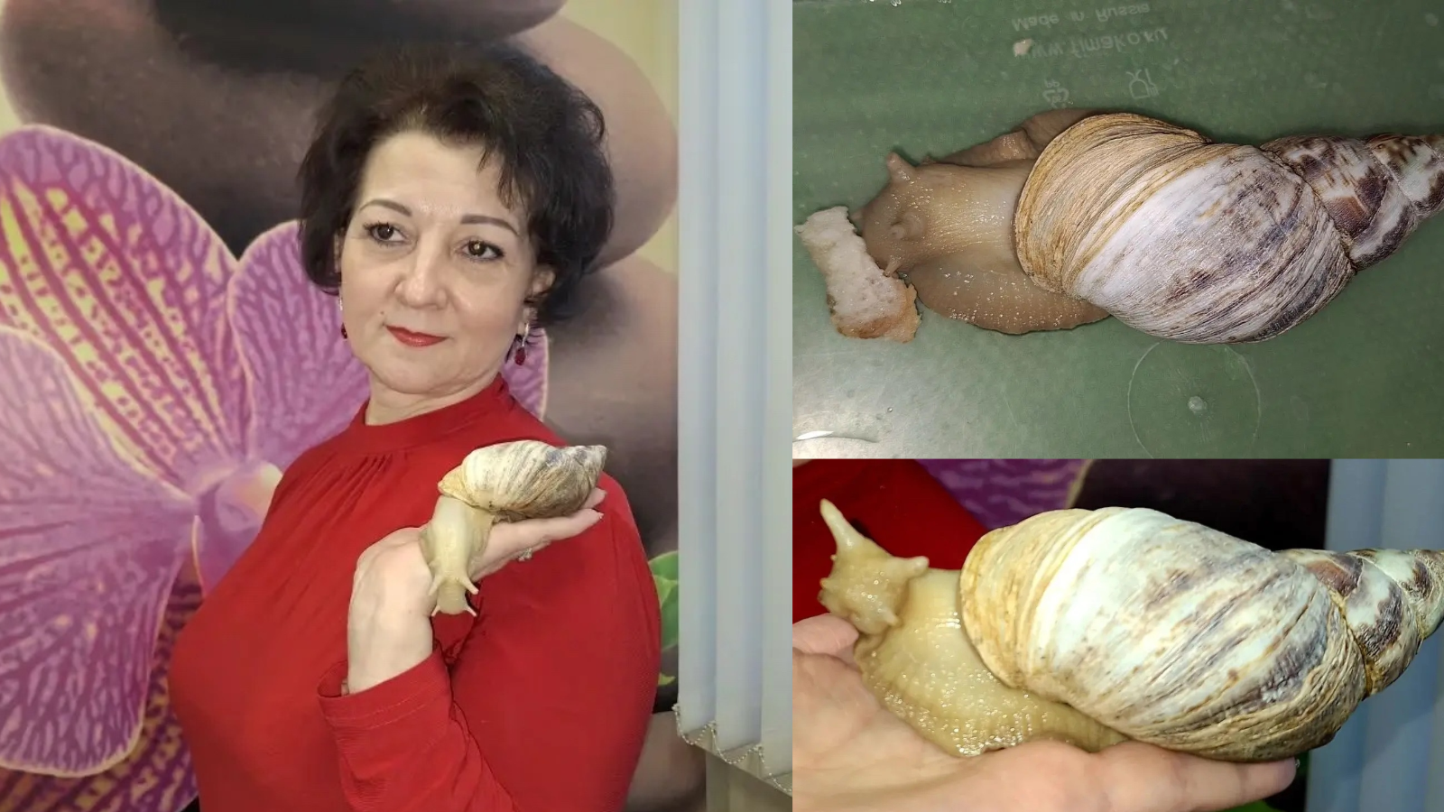 фото газеты «Болховские куранты»