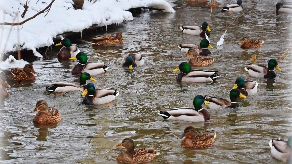 фото управления эконадзора и природопользования Орловской области