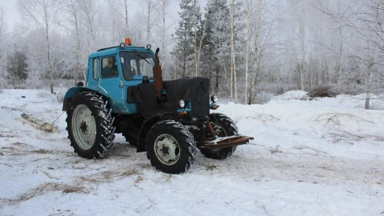 фото Владимира Тимина