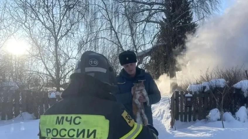 фото пресс-службы МЧС России по Орловской области