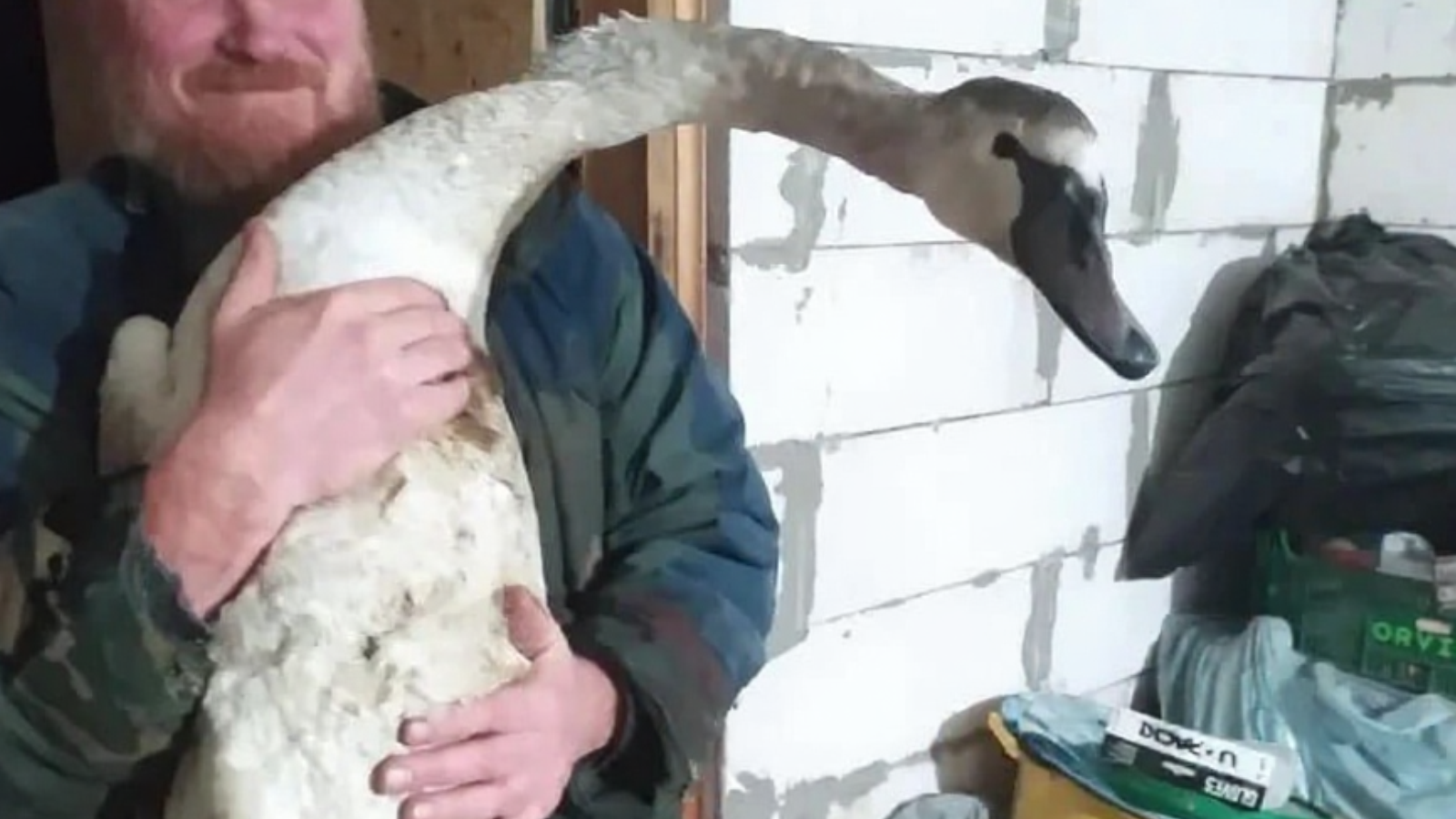 фото «Принт-ТВ Ливны»