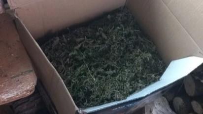 фото пресс-службы УМВД России по Орловской области