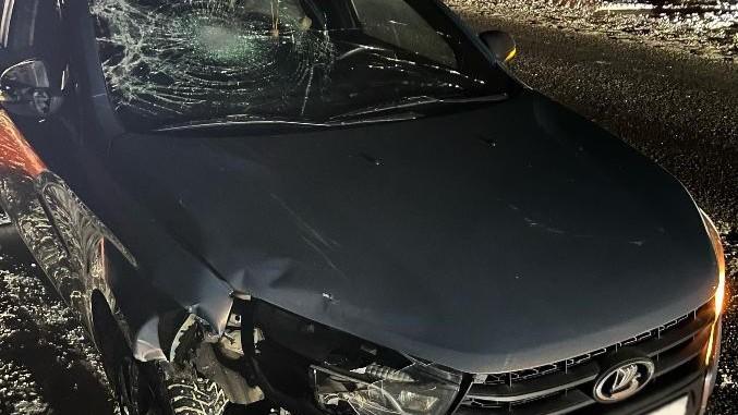 фото пресс-службы Госавтоинспекции Орловской области