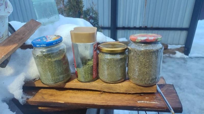 фото пресс-службы УМВД России по Орловской области