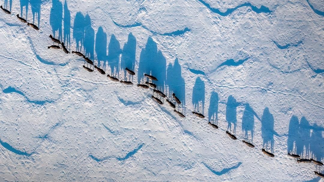 фото Дмитрия Голубева