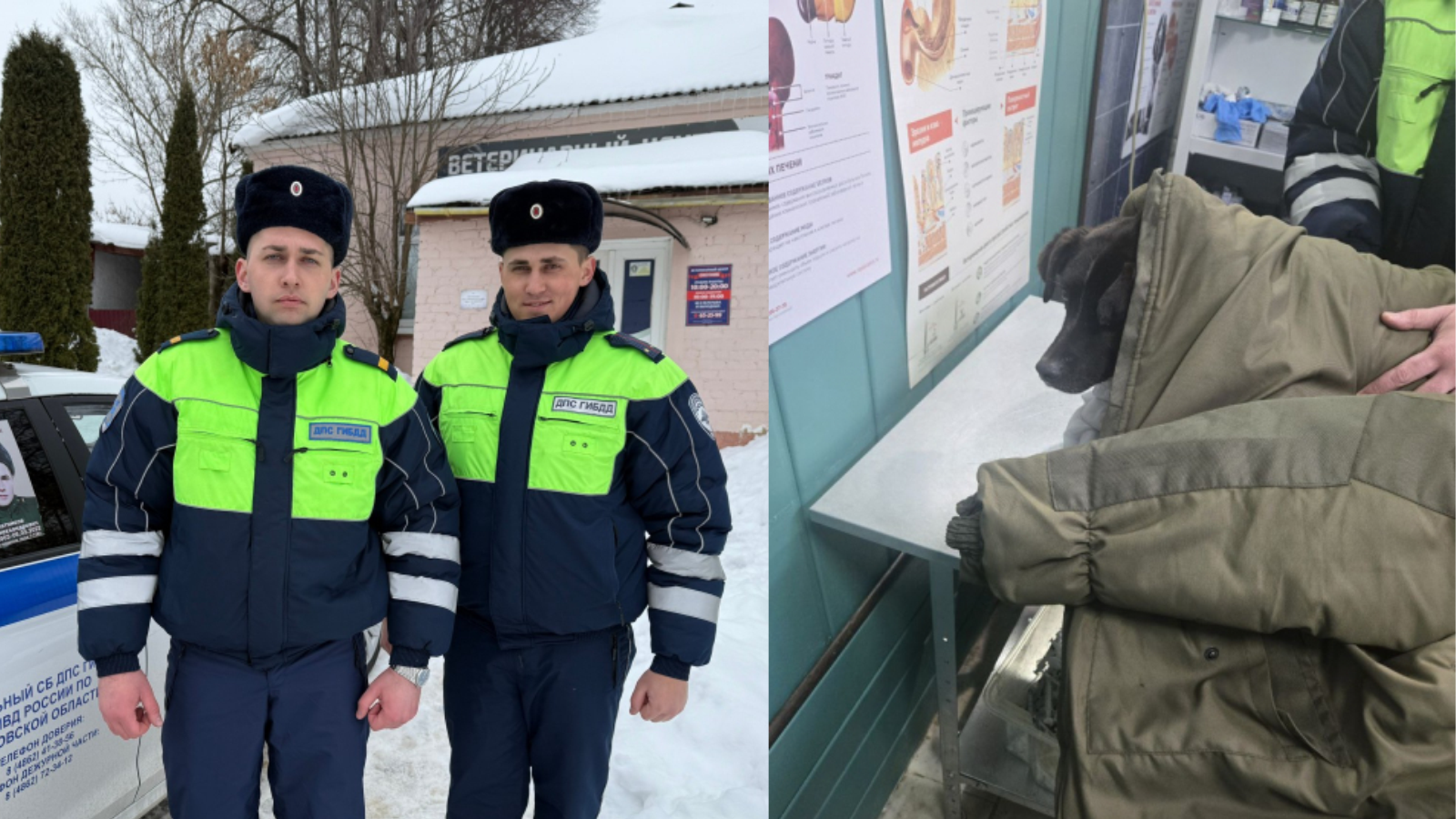 фото пресс-службы УМВД России по Орловской области