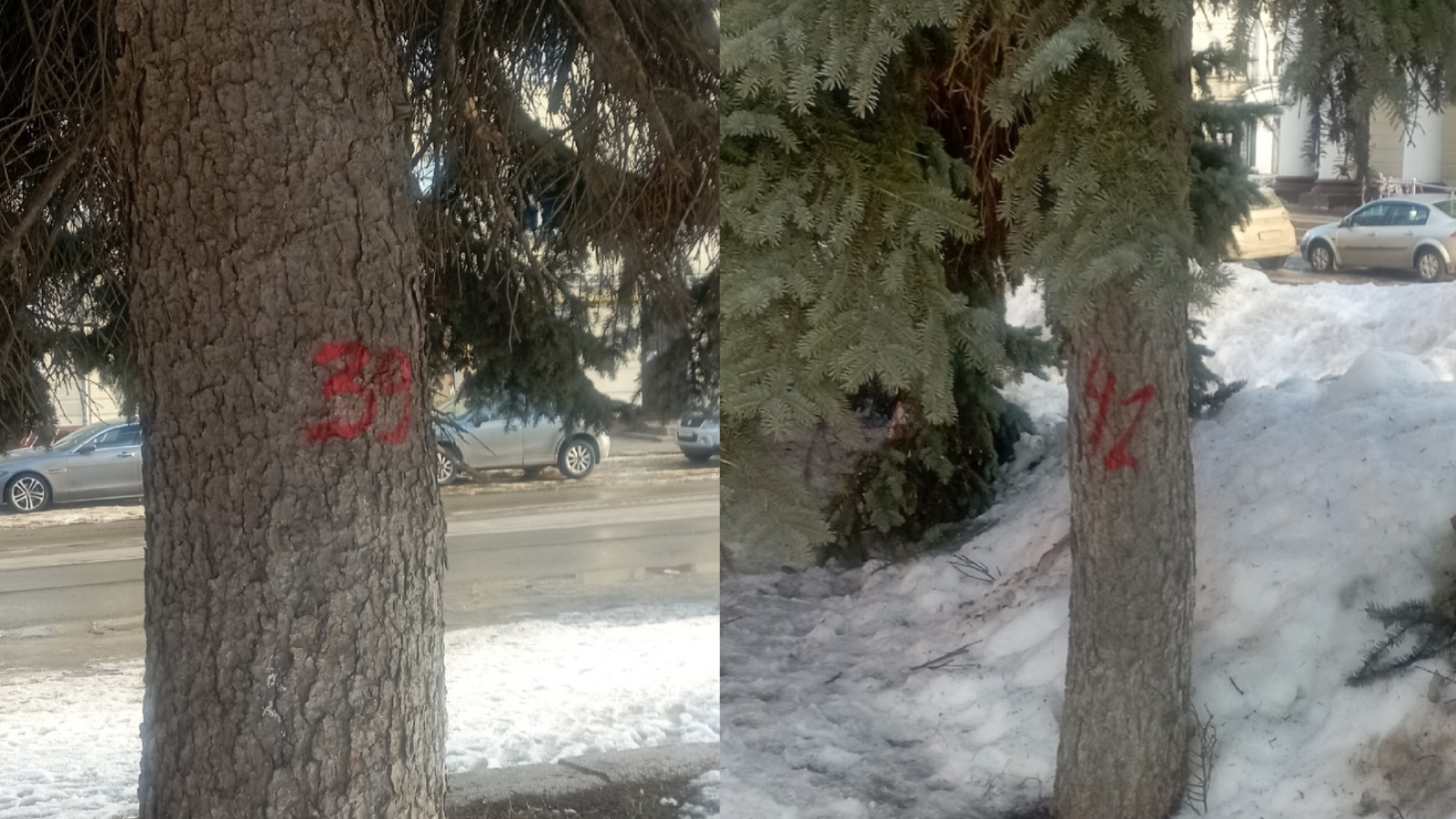 фото Евгения Волкова