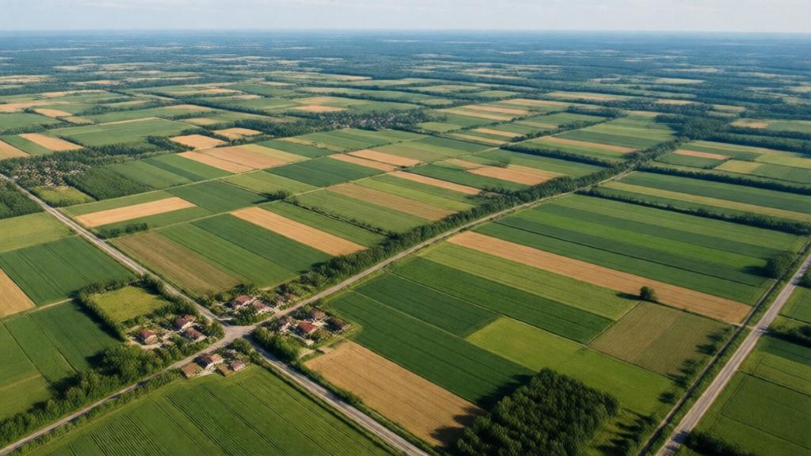 иллюстрация ИИ