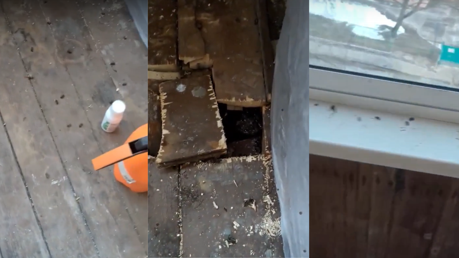 стоп-кадр видео