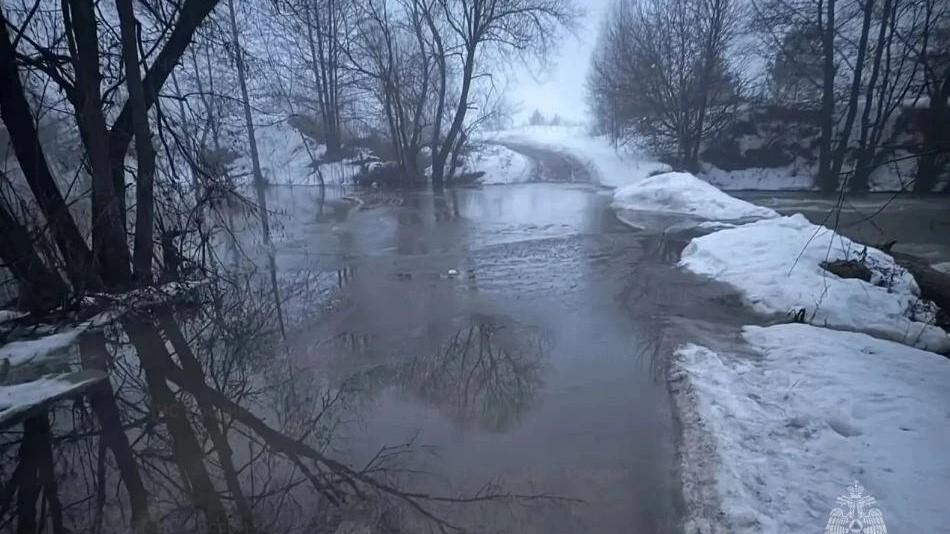 фото пресс-службы МЧС России по Орловской области