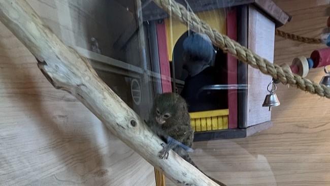 фото Управления Россельхознадзора по Орловской и Курской областям