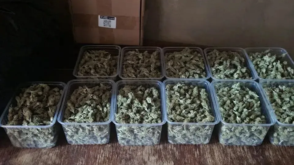 фото и видео пресс-службы УФСБ России по Орловской области