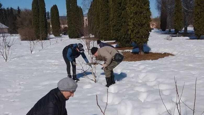 фото Управления лесами Орловской области