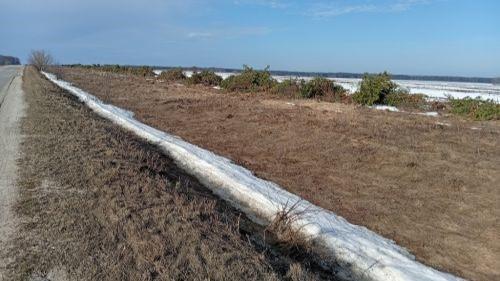 фото 1 samojloviktor7