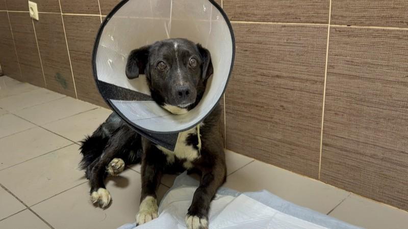 фото пресс-службы УМВД России по Орловской области