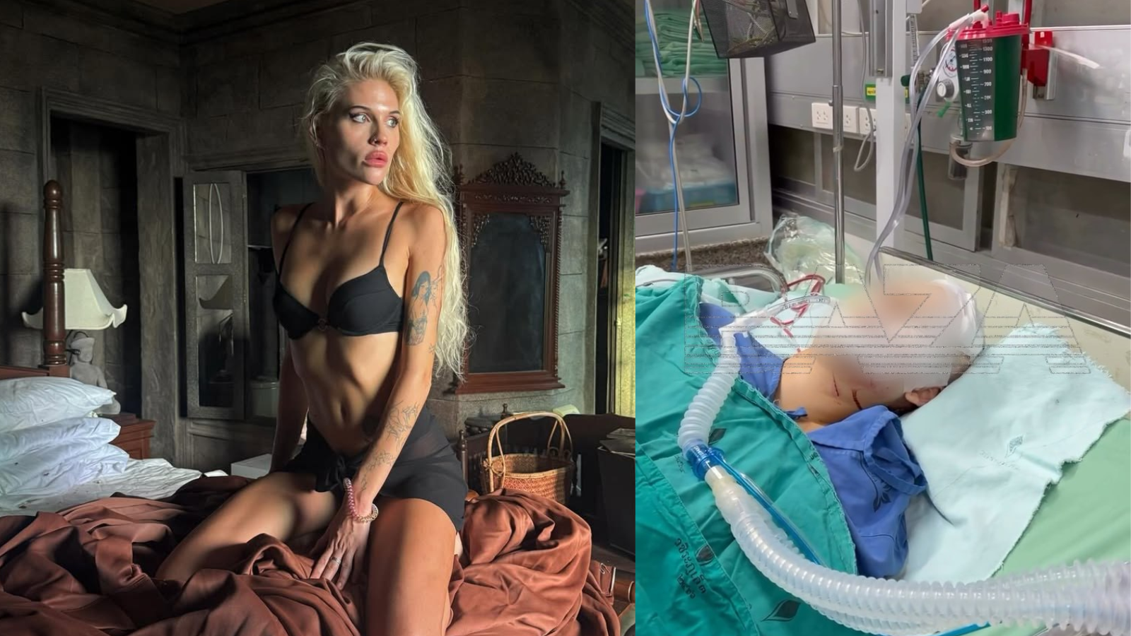 фото тгк Baza